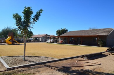 rear lawn: play area 2