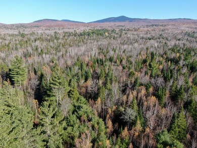 DJI_0551