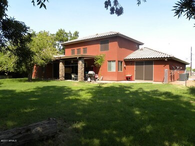Large Backyard