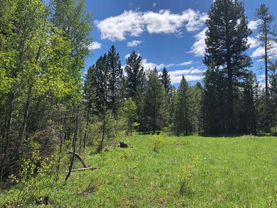 Surrounded By Mature Timber