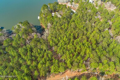 Lot 13-A Deep Water Point, Lumberton, MS 39455 - photo 2