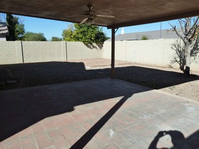 Spacious back yard