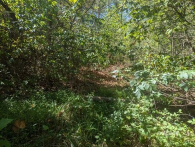 Woods