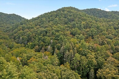 0 Grassy Mountain Rd unit 1521379, Chatsworth, GA 30705 - photo 3