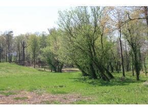 Treadway 3