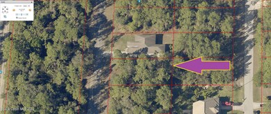 2004 Edward Ave, Alva, FL 33920 - photo 2