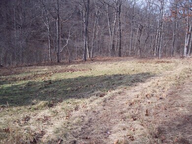 Deer Food Plot