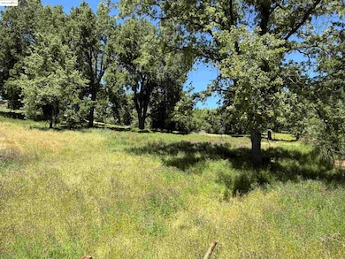 0000 Meadow Ln, Sonora, CA 95370 - photo 5