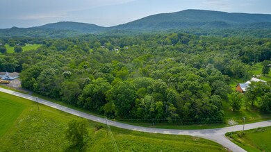 0 Hog Jowl Rd unit 1397019, Chickamauga, GA 30707 - photo 3