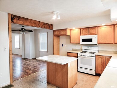 307 Willard Ave, Lincoln, IL 62656 - photo 4