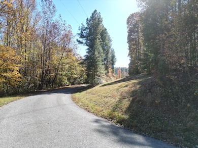 0 Jim Sutton Rd, Leoma, TN 38468 - photo 3