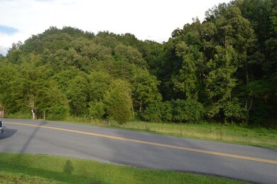 Stanton Rd Acreage 2