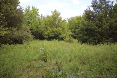 0000 W 1300 Rd, Dewey, OK 74029 - photo 7
