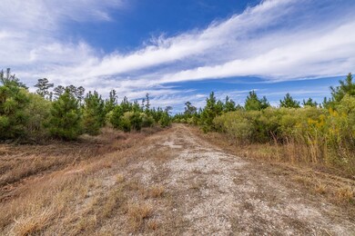 76.68 Fm 843, Nacogdoches, TX 75964 - photo 3