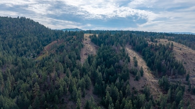 NHN Copper Ridge Trail, Florence, MT 59833 - photo 5