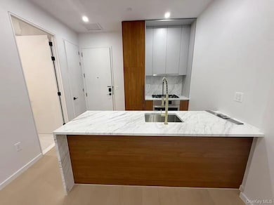 Oasis Astoria unit 5D, Long Island City, NY 11106 - photo 2