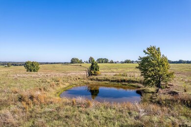 000 County Road 4331, Larue, TX 75770 - photo 6
