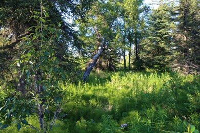 Stone River Lot 7