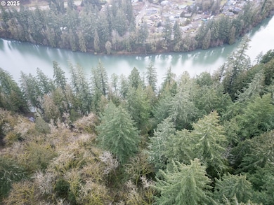 000 Serne Rd, Estacada, OR 97023 - photo 3