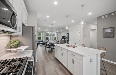 211 Steeple Bush Ln unit 10343, Schaumburg, IL 60193 - photo 4