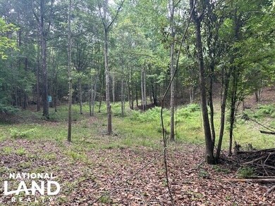 0 Old Hwy 51 NE, Brookhaven, MS 39601 - photo 4