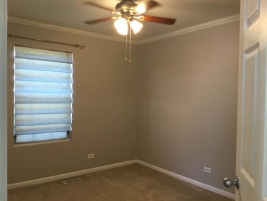 147 Springbrook Trail S, Oswego, IL 60543 - photo 4