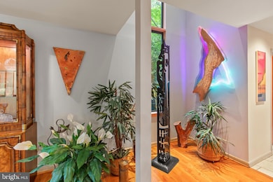 5211 Macarthur Terrace NW, Washington, DC 20016 - photo 6