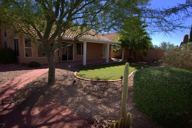 backyard_3375