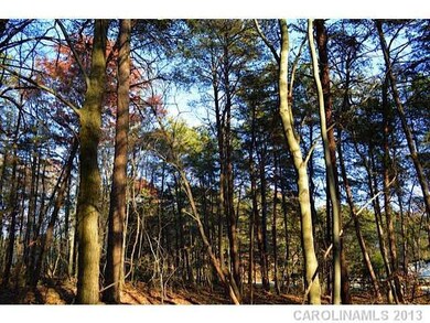 Land/Lot - Interior view of land with lovely hardwoods and pines