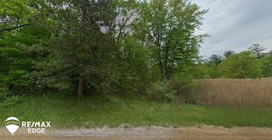 0 Farrand Rd unit 50166883, Otisville, MI 48463 - photo 2