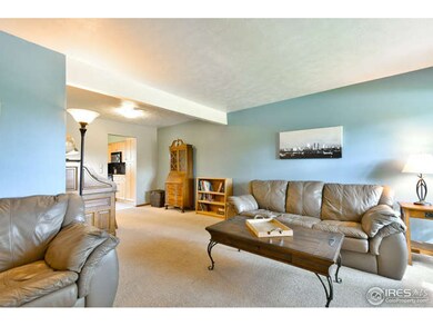 Living/Dining Rooms