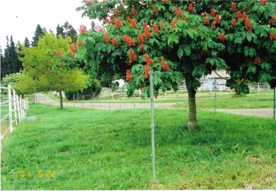 11109 238th St E, Graham, WA 98338 - photo 4