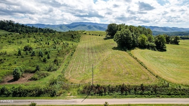 39.26 Ac Pleasant Hill Rd, Chuckey, TN 37641 - photo 3