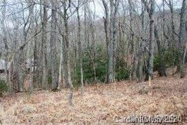 44 Deep Creek Trail unit 43, Arden, NC 28704 - photo 6