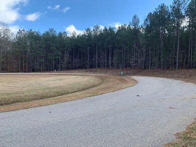 1107 Watersedge Cove, Tignall, GA 30668 - photo 5