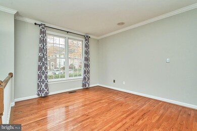 3647 Ransom Place, Alexandria, VA 22306 - photo 4