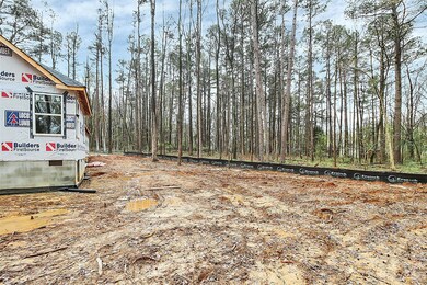 1574 Allen Ln, Conover, NC 28613 - photo 5