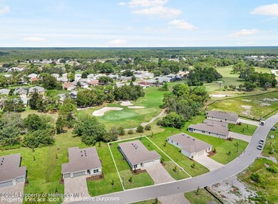 9229 Players Dr, Weeki Wachee, FL 34613 - photo 5