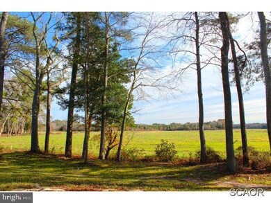 8247 Democracy Dr unit 11, Parsonsburg, MD 21849 - photo 3