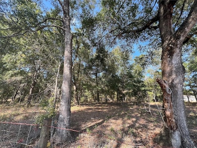 13465 SW 100th St, Dunnellon, FL 34432 - photo 2