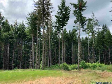 0 Swordfern Ridge Rd unit 778065, Blodgett, OR 97326 - photo 6