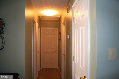 316 Aileen Ave, Strasburg, VA 22657 - photo 5