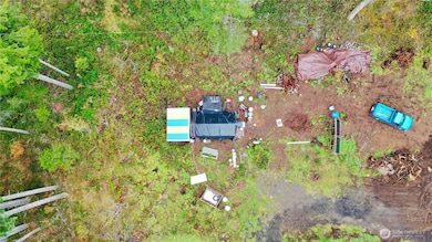 151 W Buck Prairie Rd, Elma, WA 98541 - photo 7