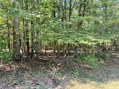 0 Hwy 29 N unit CL335575, Danielsville, GA 30633 - photo 5