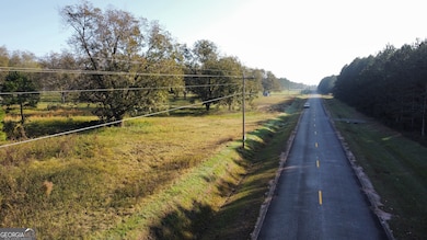 8 County Line Rd, Elko, GA 31025 - photo 3