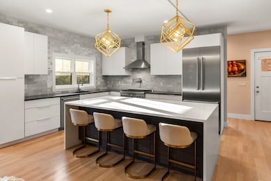 76 Clark Rd unit 2, Brookline, MA 02445 - photo 3