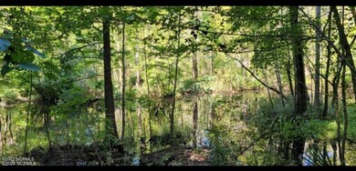 Tbd Ella Sofia Ln, New Bern, NC 28562 - photo 3