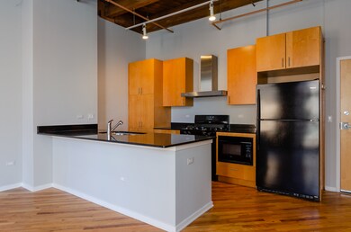 No. Ten Lofts unit 257, Chicago, IL 60607 - photo 5