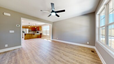 212 Coney Island Rd, Shelbyville, TN 37160 - photo 5