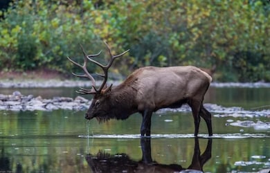 0 Riverview Path, Grove Township, PA 15861 - photo 2